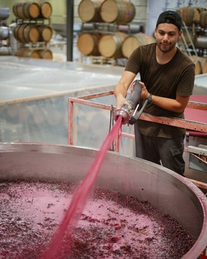 Francesco pumping over fermenting juice onto the fermentation cap in the cellar at Tank.
