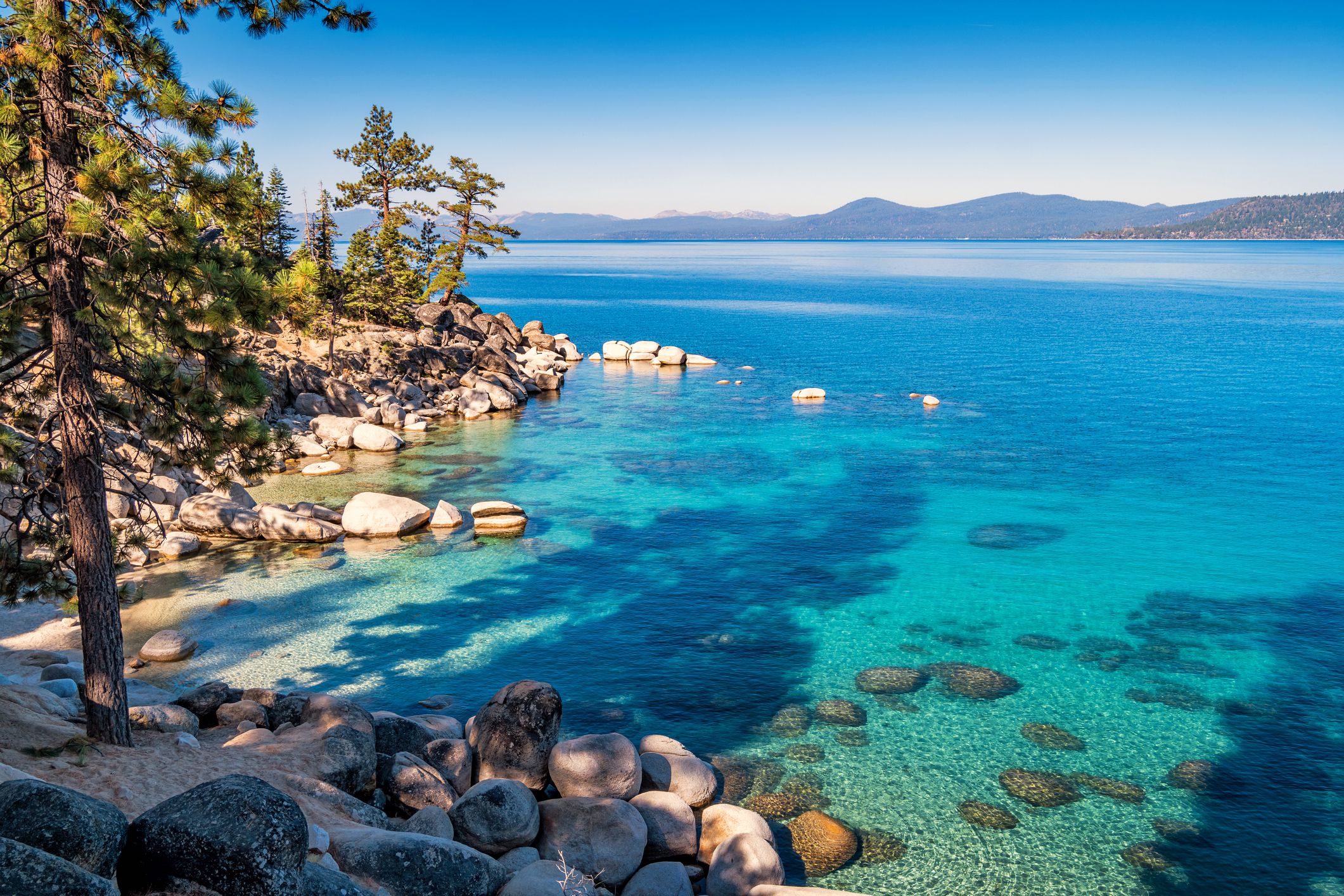 Lake Tahoe's vibrant blue water surrounded by trees.