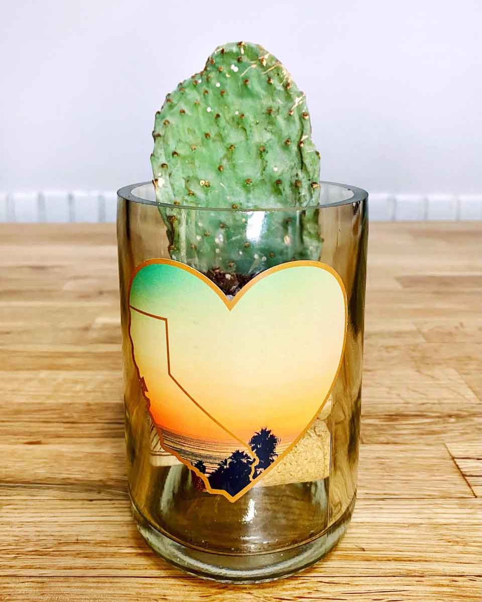 A cactus inside of a California Love bottle.