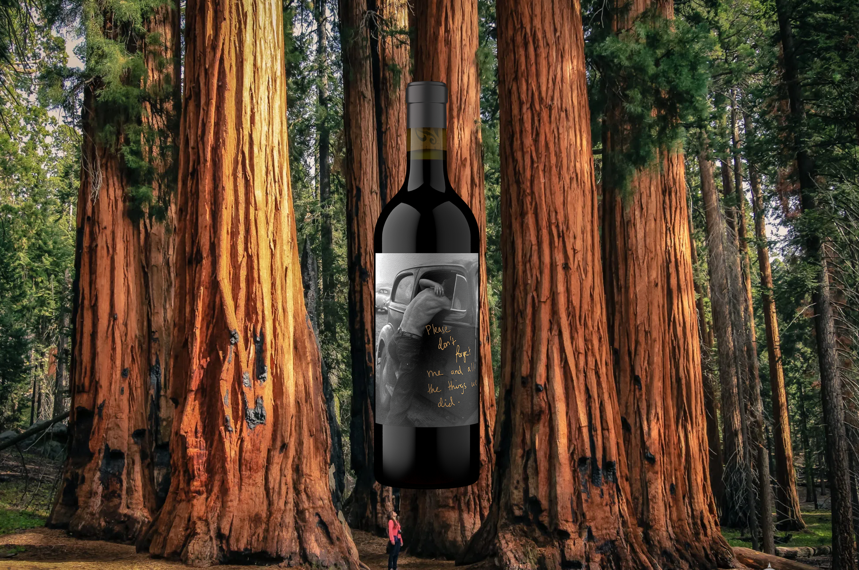 Bottle of Don't Forget Me in front of Sequoia National Park